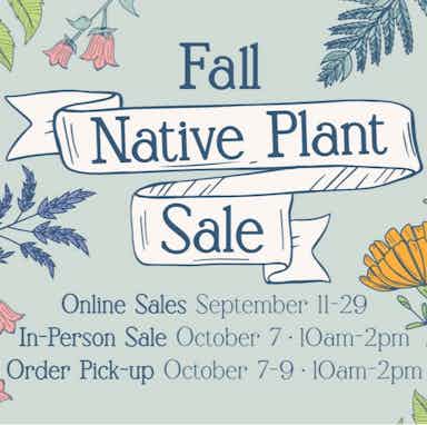 Fall Native Plant Sale-0